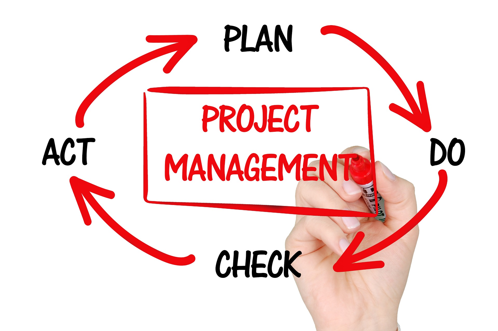 Product/ Project Manager chịu trách nhiệm vận hành một dự án, sản phẩm của doanh nghiệp