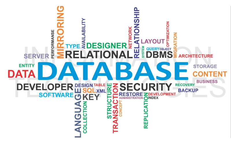 Tìm hiểu về cơ sở dữ liệu là gì?