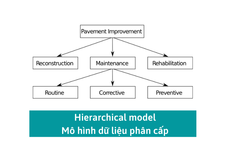 Hierarchical model – mô hình dữ liệu phân cấp