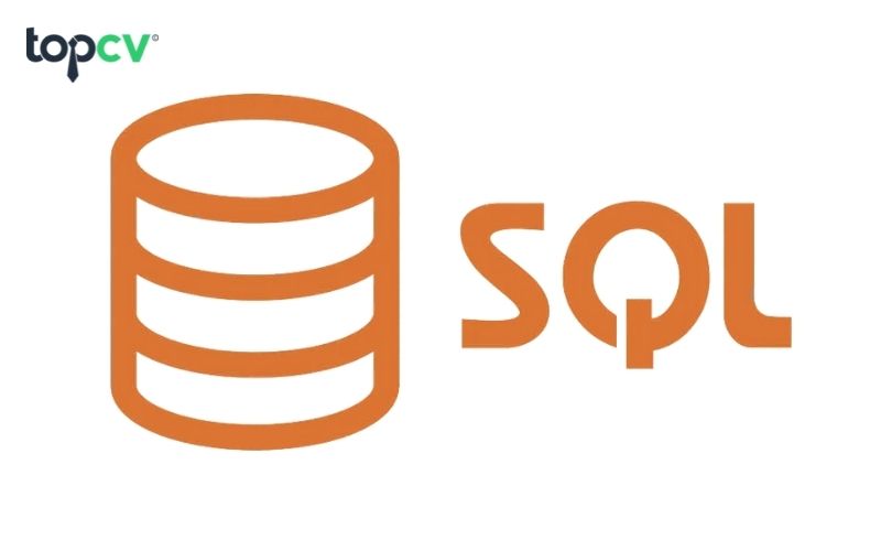 SQL là ngôn ngữ mà các hệ thống cơ sở dữ liệu quan hệ cần phải đáp ứng