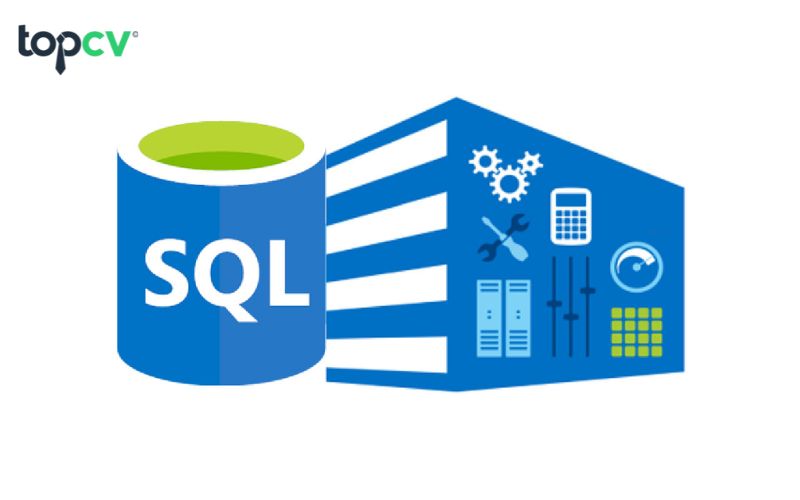Lập trình web cần hiểu về database và SQL