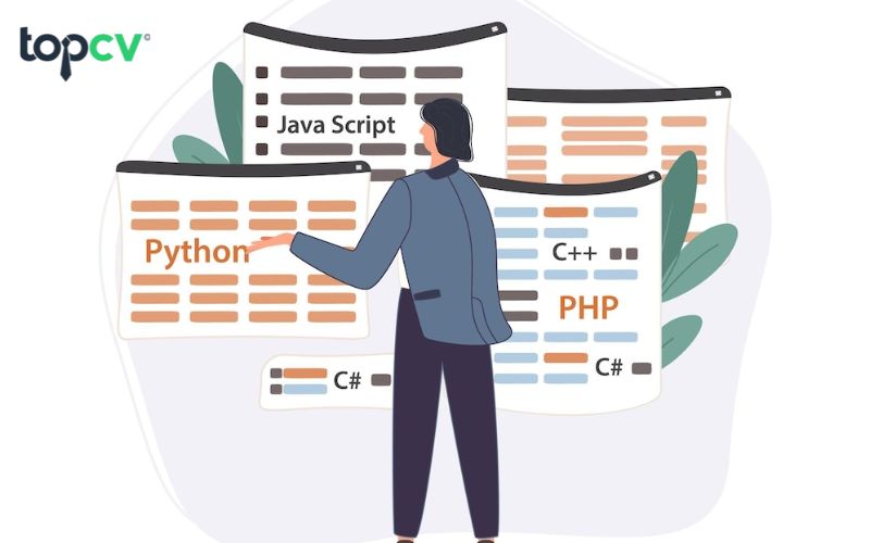 Chứng chỉ Python là gì? Nên có những chứng chỉ Python nào?