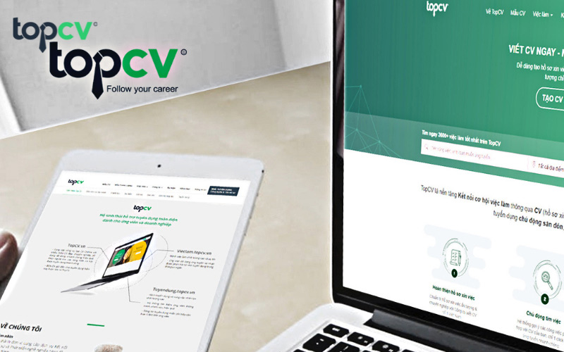 TopCV cung cấp đa dạng các cơ hội việc làm ở nhiều trình độ khác nhau