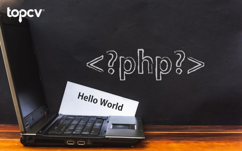  Ngôn ngữ PHP khá phù hợp với những người mới bắt đầu tìm hiểu về lập trình web và ngôn ngữ lập trình là gì 