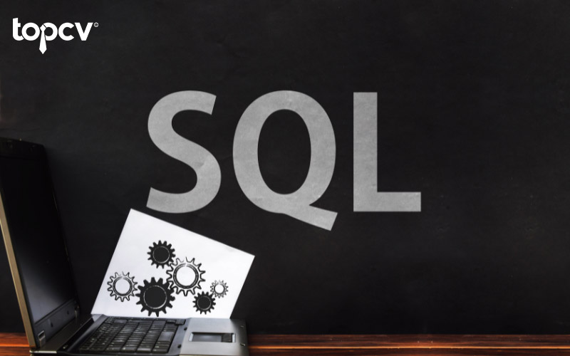 SQL được ứng dụng phổ biến trong quản lý cơ sở dữ liệu