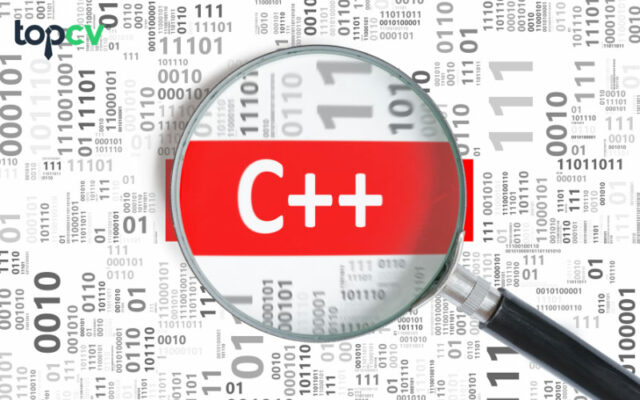 Vector C++ là gì? Những kiến thức căn bản dành cho newbie