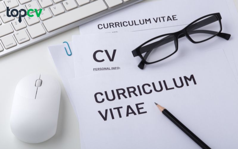 Bạn có thể sử dụng các website tạo CV để có được CV chất lượng, chuyên nghiệp nhanh nhất