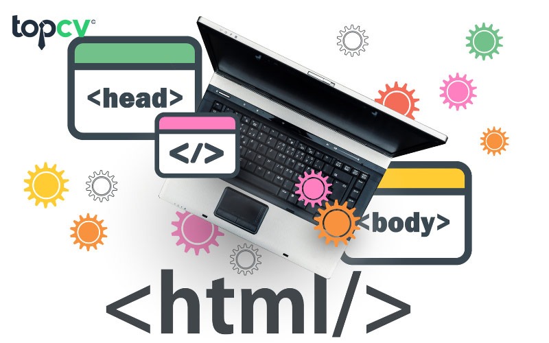 Câu hỏi về HTML sẽ bao gồm kiến thức về thẻ meta, HTML Semantic