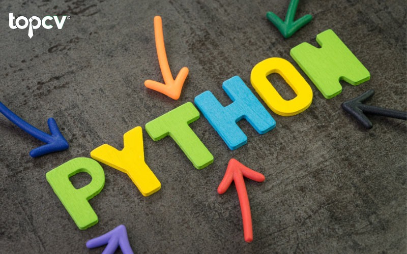 Thực tập Python thường là sinh viên hoặc sinh viên mới tốt nghiệp