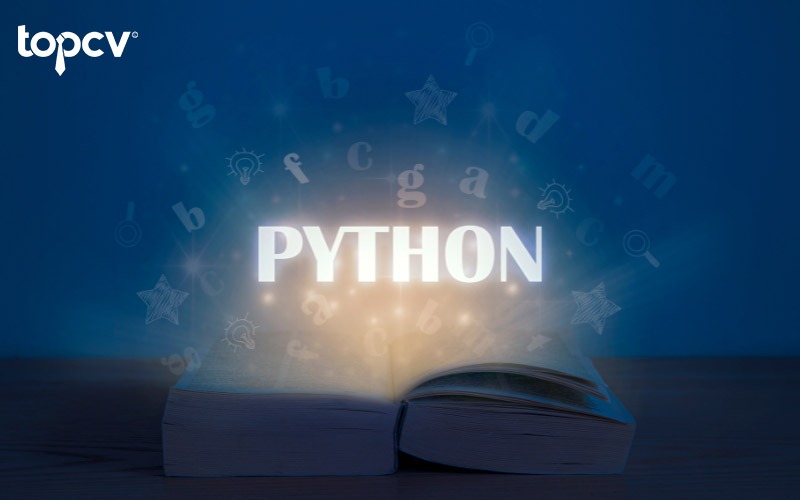 Thực tập Python yêu cầu khả năng làm việc độc lập và teamwork hiệu quả