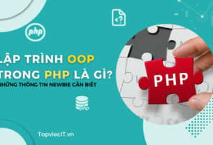 Lập trình OOP trong PHP là gì? Những thông tin newbie cần biết