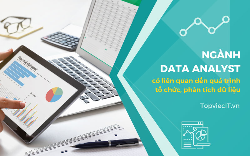 Ngành Data Analyst có liên quan đến quá trình tổ chức, phân tích dữ liệu