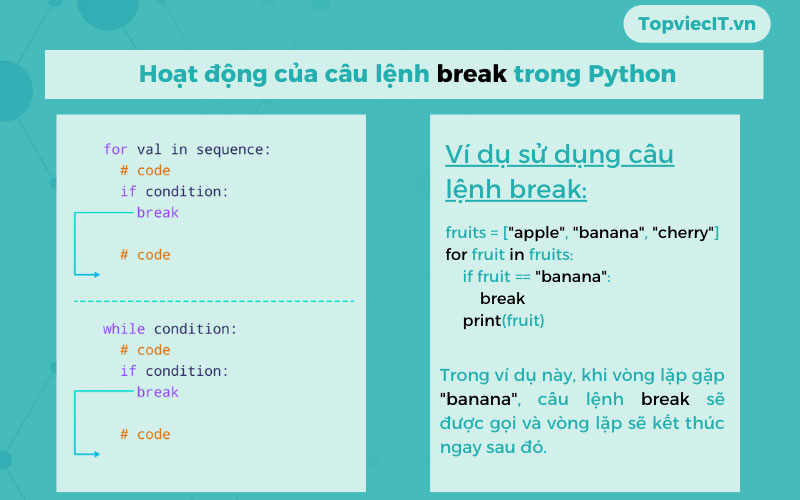 Hoạt động của câu lệnh break trong vòng lặp for và vòng lặp while