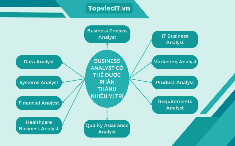 Dựa vào chuyên môn, Business Analyst có thể được phân thành nhiều vị trí